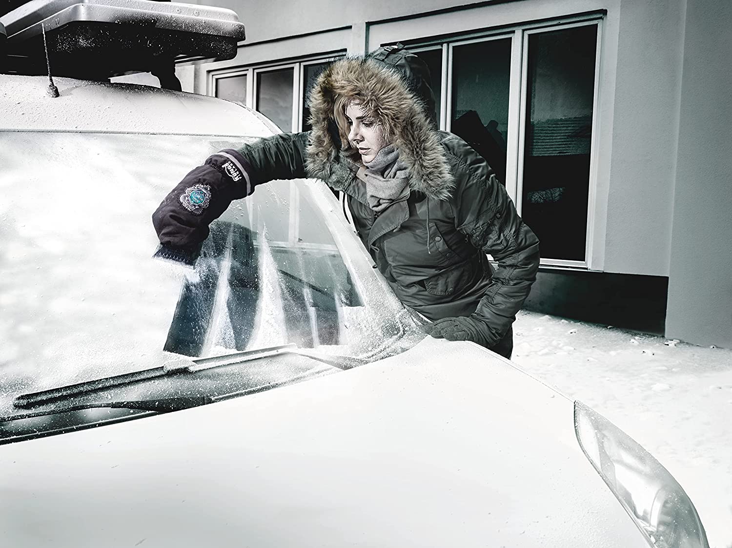 p6.jpg