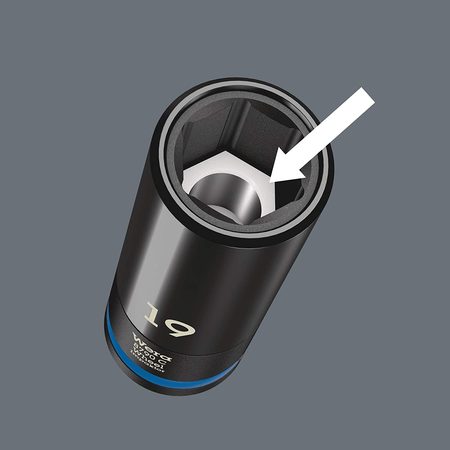 p5.jpg