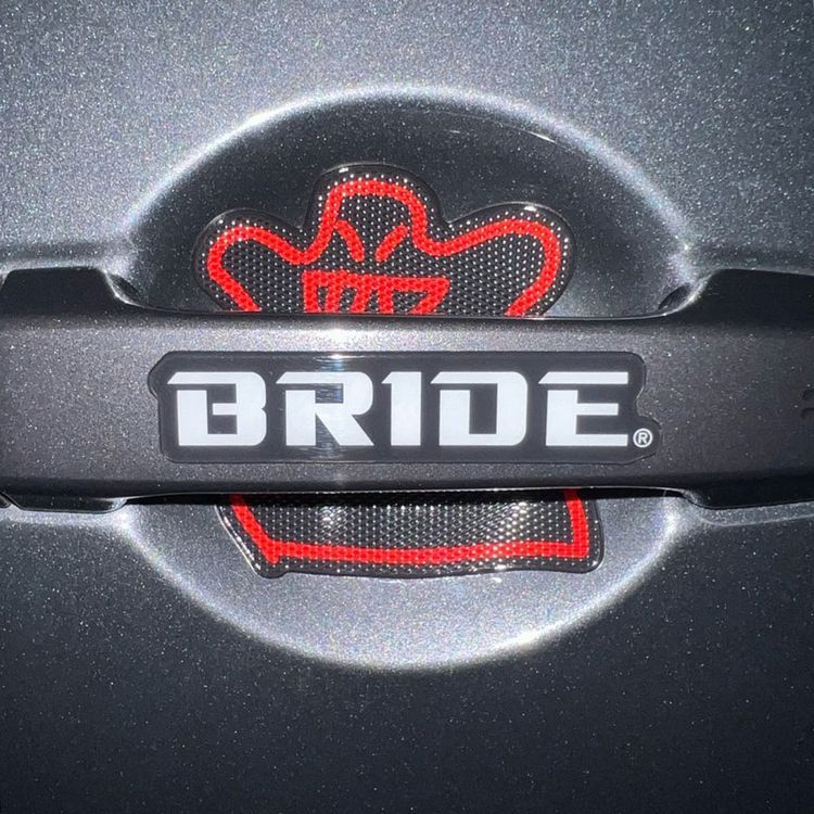 BrideDoorHandleProtector_02.jpg