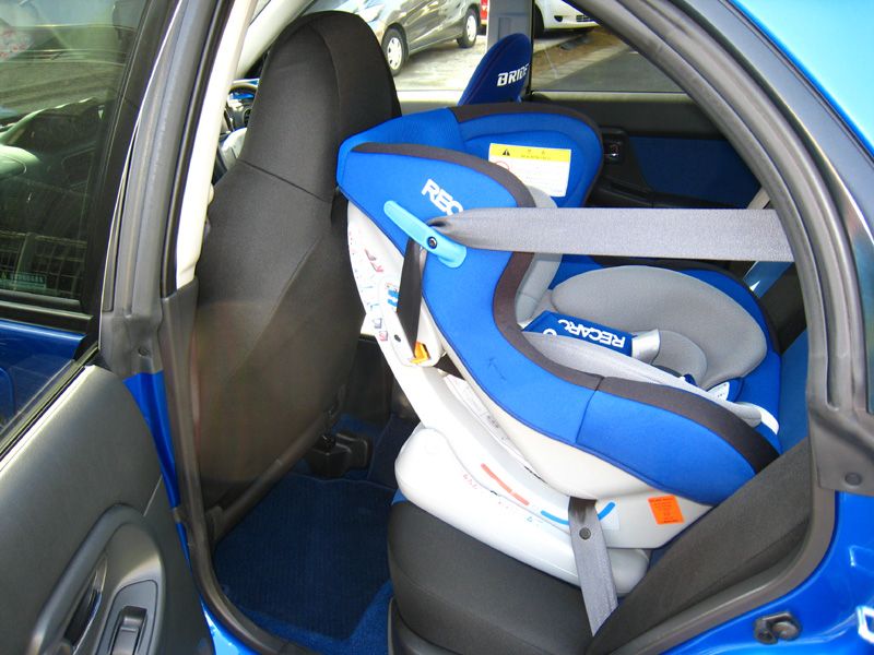 p2.jpg