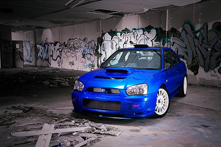 top_scoob_01.jpg