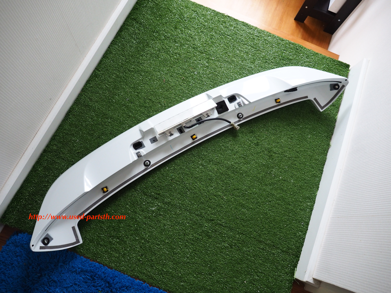 P5100085.jpg