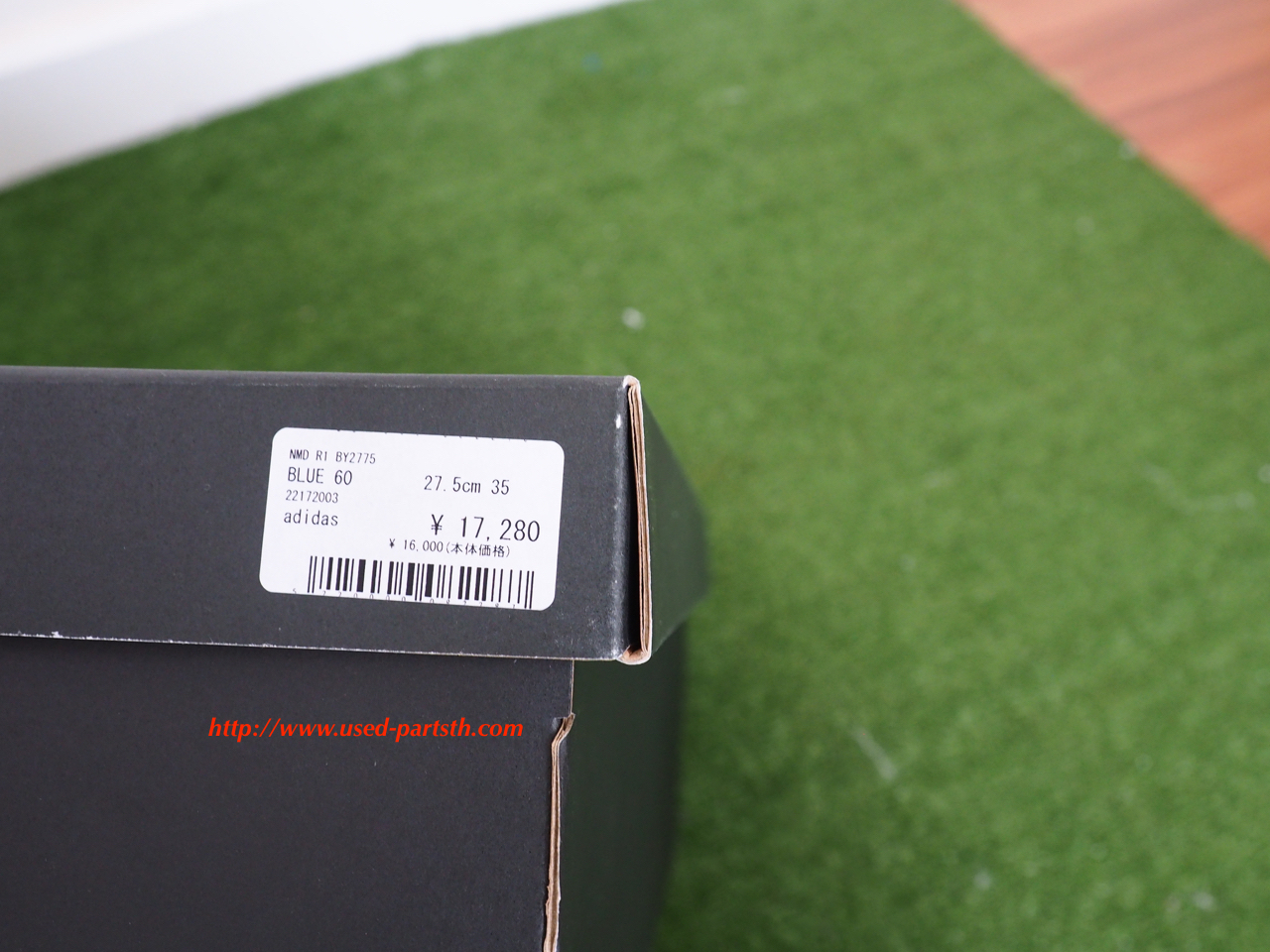 P9160041.jpg