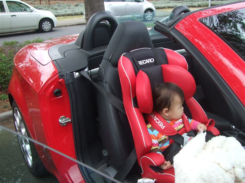p1.jpg