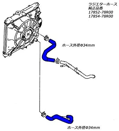 41CJO85NWNL._AC_.jpg