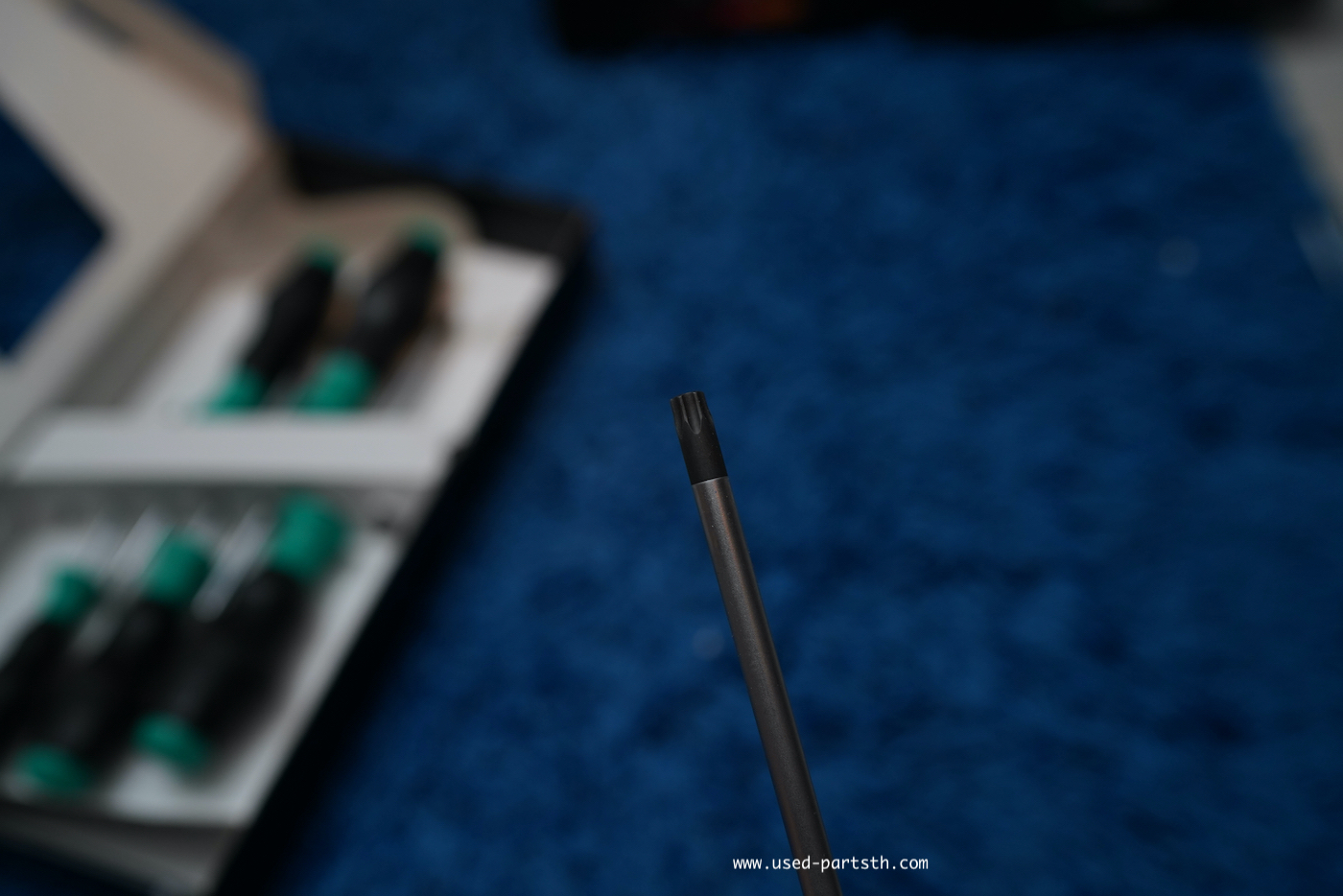 DSC09382.jpeg