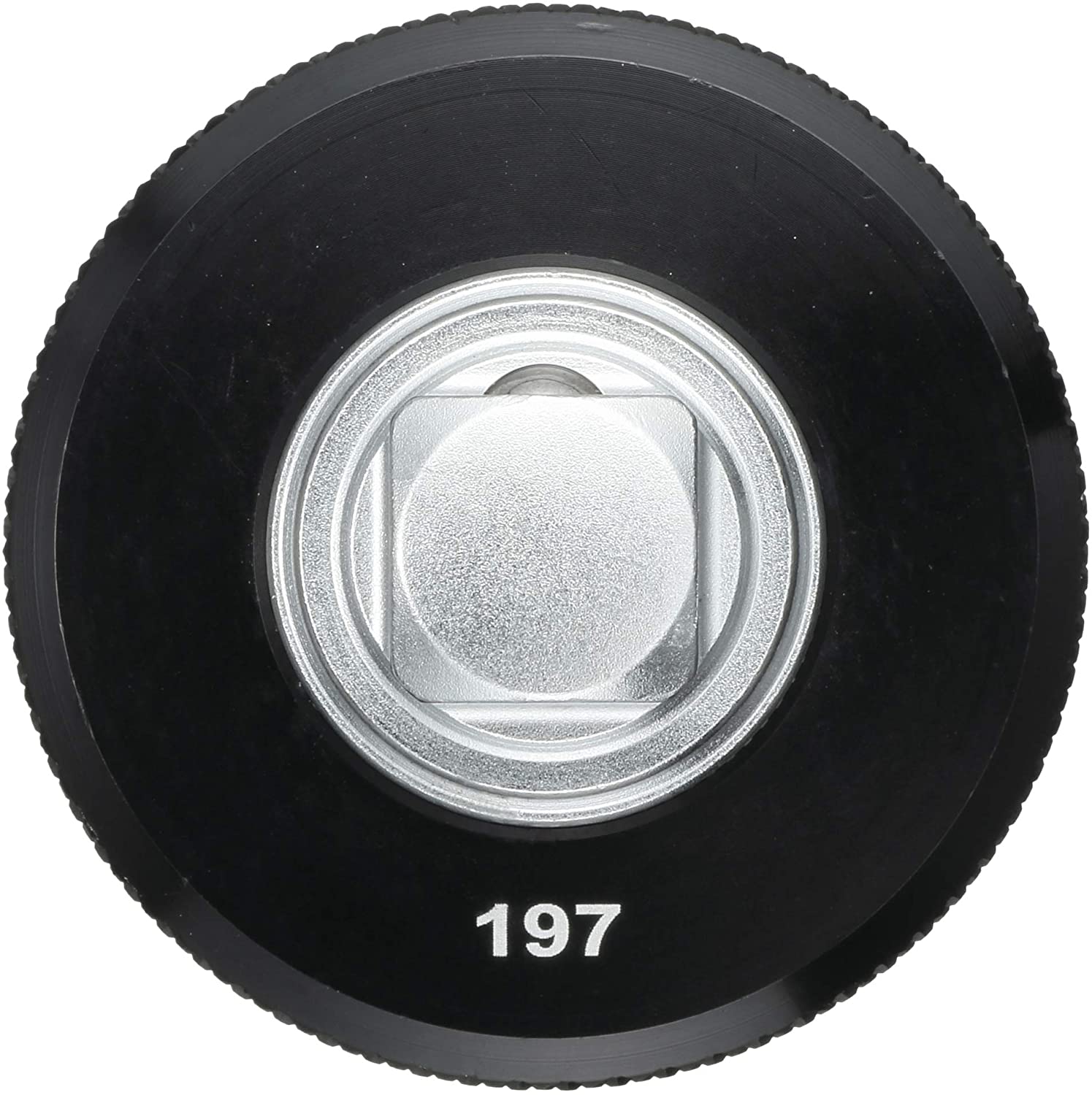 p3.jpg